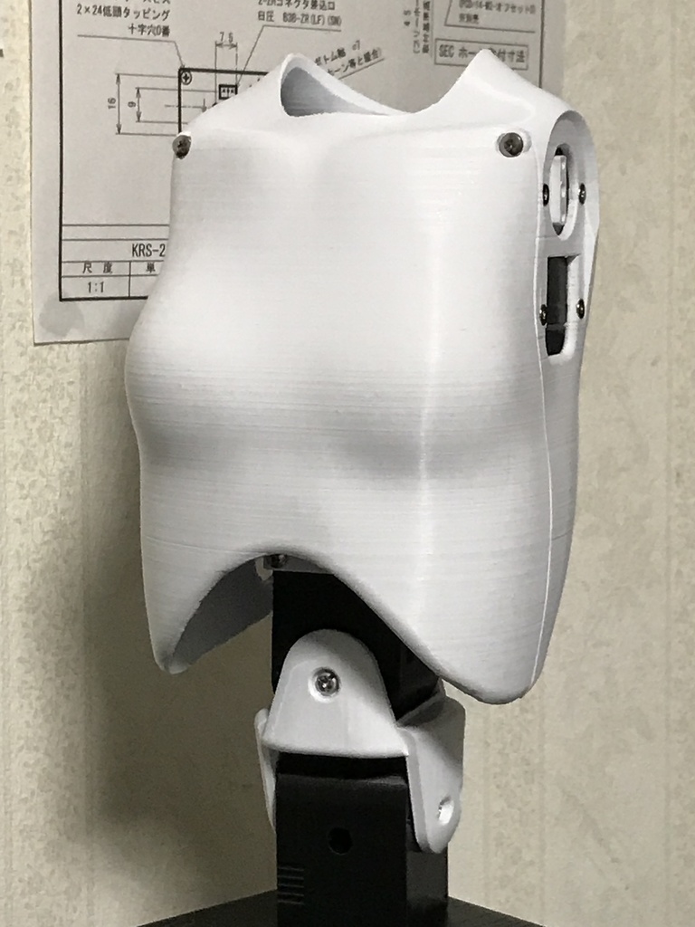 ロ号自動機械 胸部 無償版