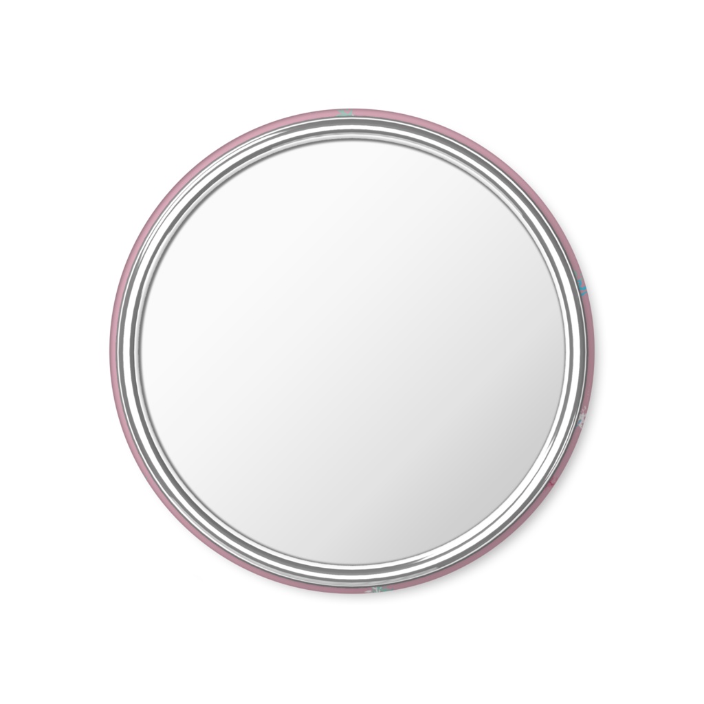 BALLET COSTUMES MIRROR