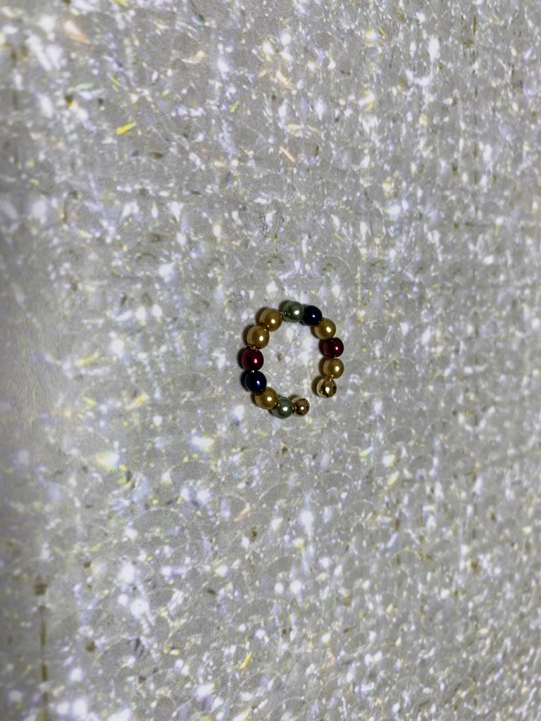 【ツイステ】サバナクロー寮イメージのイヤリング