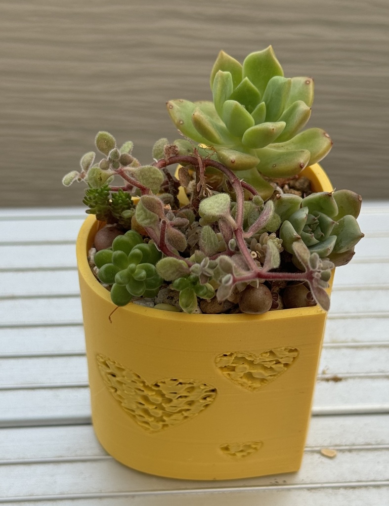 ハート型植木鉢