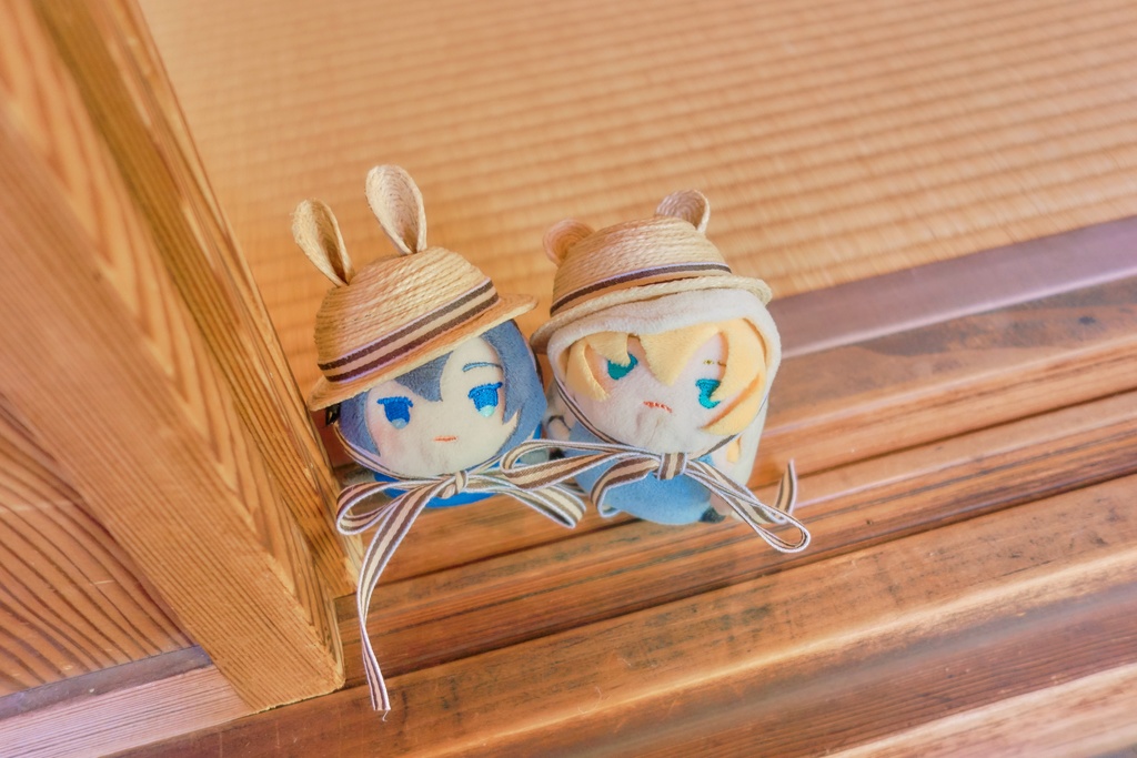 【次期頒布未定】麦わら風帽子各種(ぬいぐるみ用)