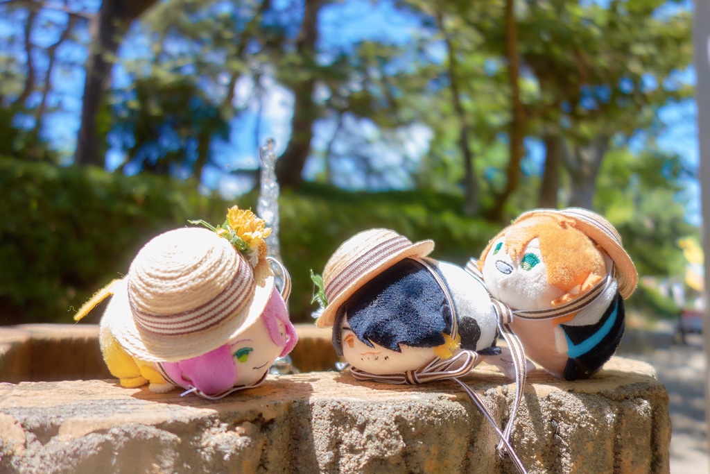 【次期頒布未定】麦わら風帽子各種(ぬいぐるみ用)