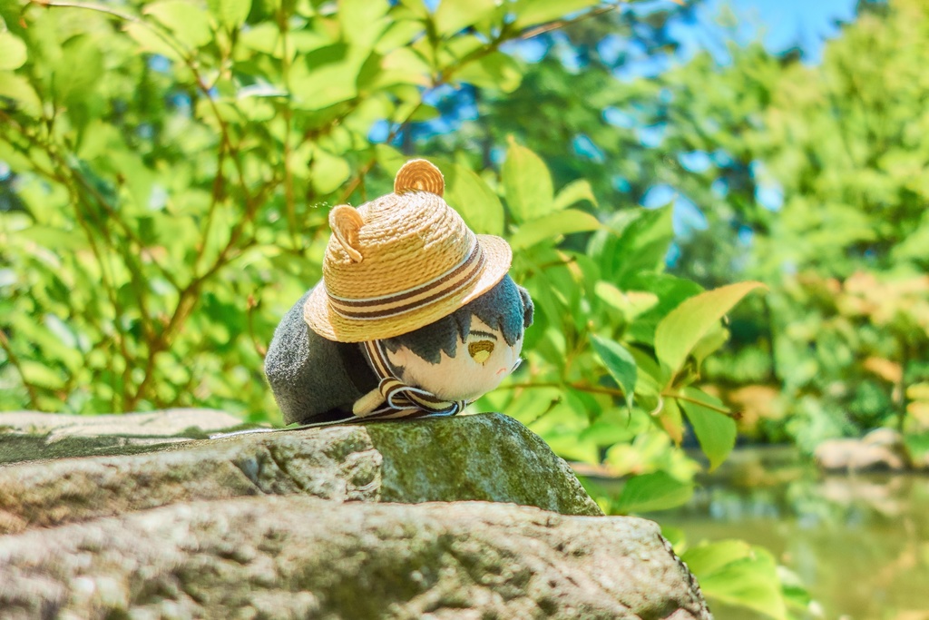 【次期頒布未定】麦わら風帽子各種(ぬいぐるみ用)