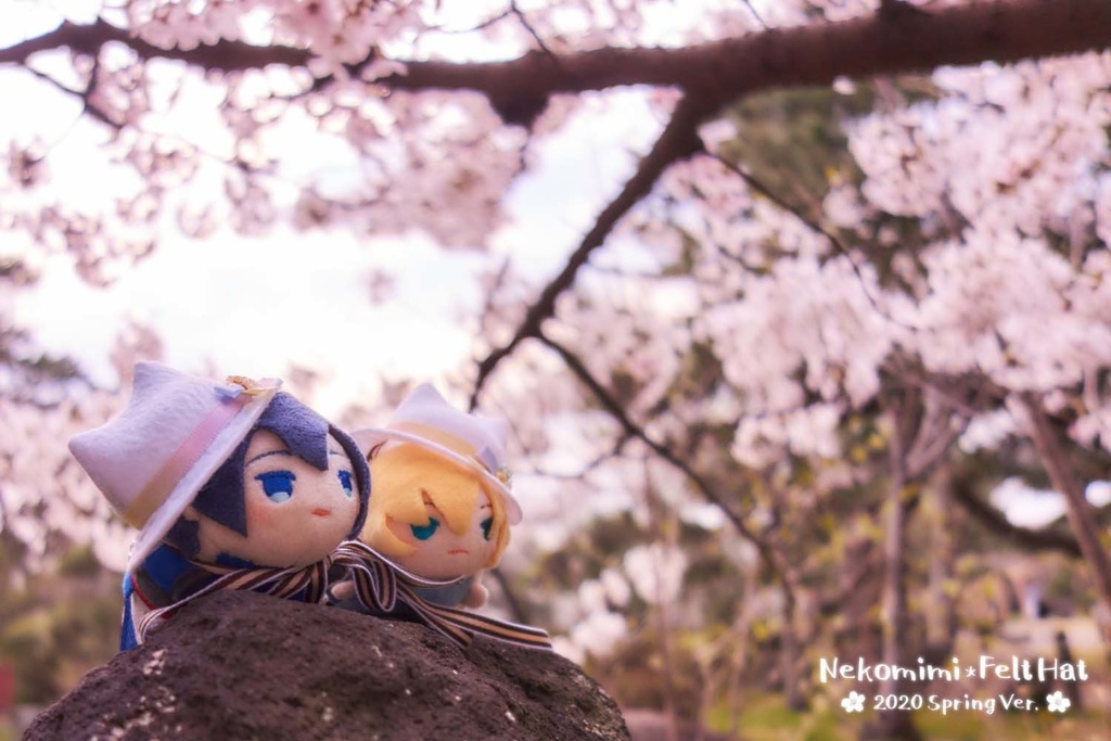 【次期頒布未定】猫耳フェルト帽子 刀剣男士Ver.(ぬいぐるみ用)