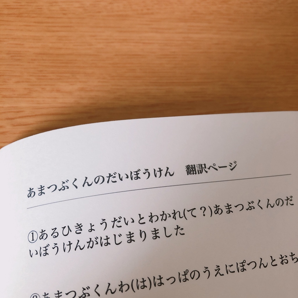 みみみっつうさぎ(おめかし)&えほん