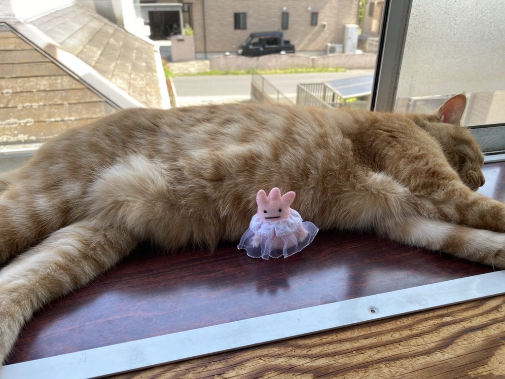 みみみっつうさぎ(おめかし)&えほん