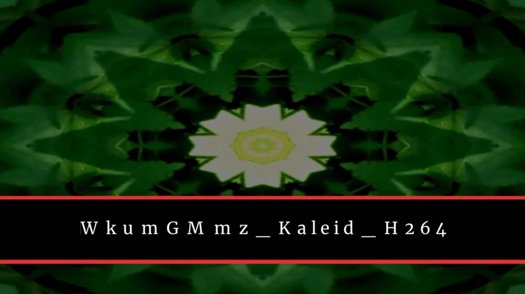 VJ Footages #001 "Kaleidscope"