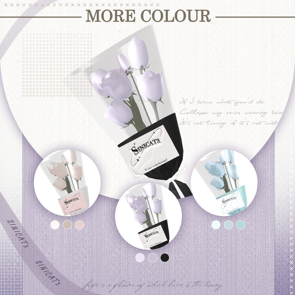 𝐒.𝐂𝟏𝟏 【O₂ Series】20 Avatars 📸Wander Frame📸