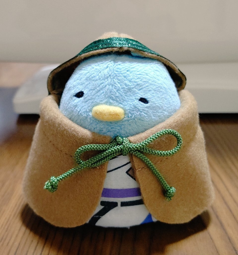 ちゅん 冬のフード付きマント