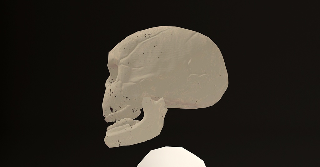 【オリジナル3Dモデル】Pumpkin&Skull【ハロウィン、異形頭】