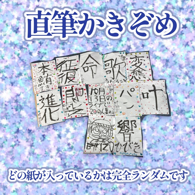 ビキチャン福袋2026