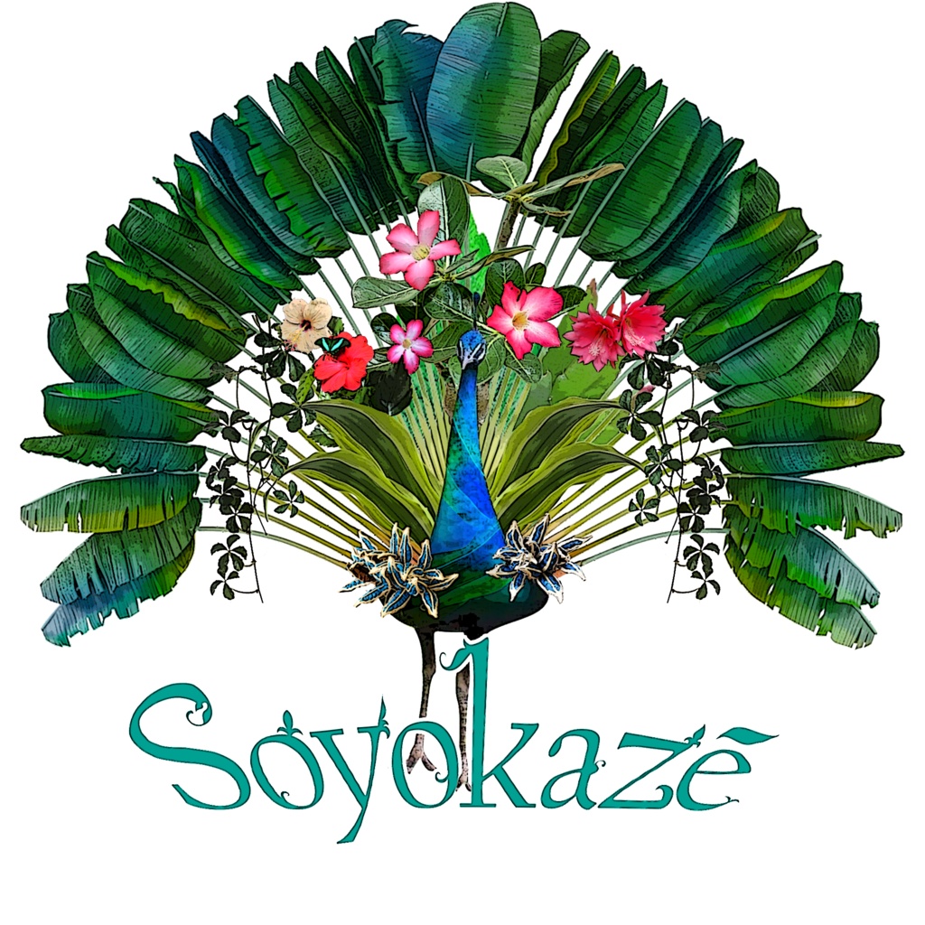 旅孔雀ブラックパーカー(カラー&モノトーン)