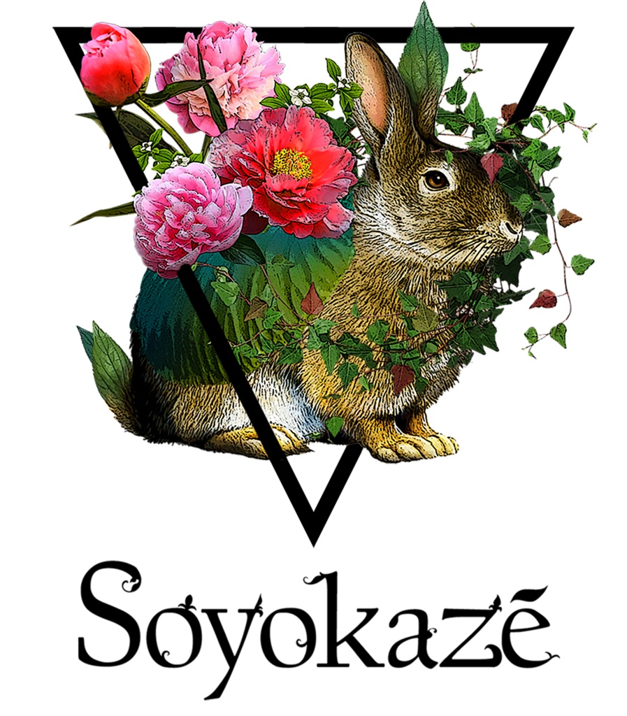 ビカク花兎レディースTシャツ(カラー&モノトーン)