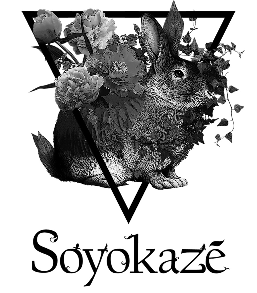 ビカク花兎レディースTシャツ(カラー&モノトーン)