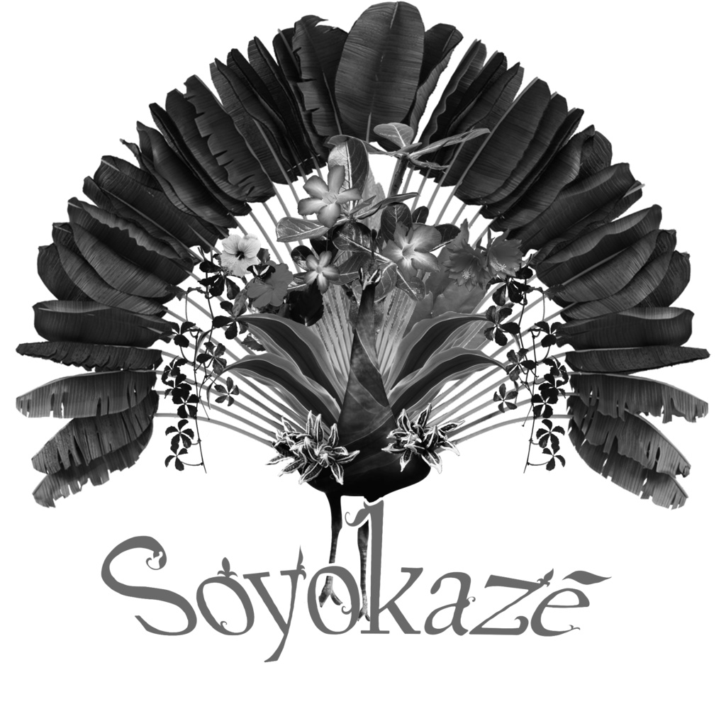 旅孔雀Tシャツ黒(カラー&モノトーン)