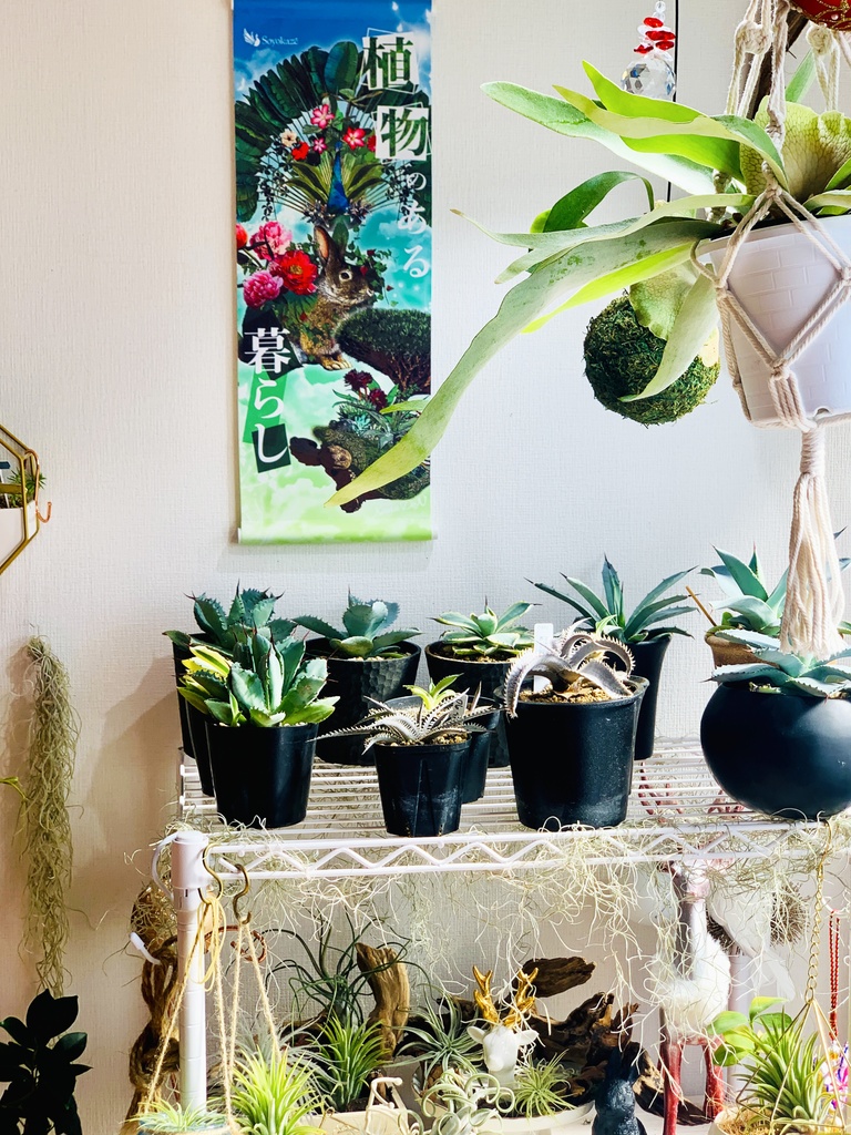 植物×生き物 Soyokazeミニタペストリー(植物のある暮らし)