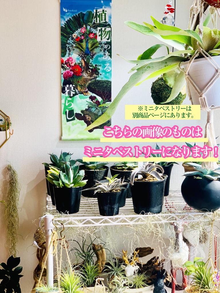 植物×生き物 Soyokazeタペストリー(植物のある暮らし)