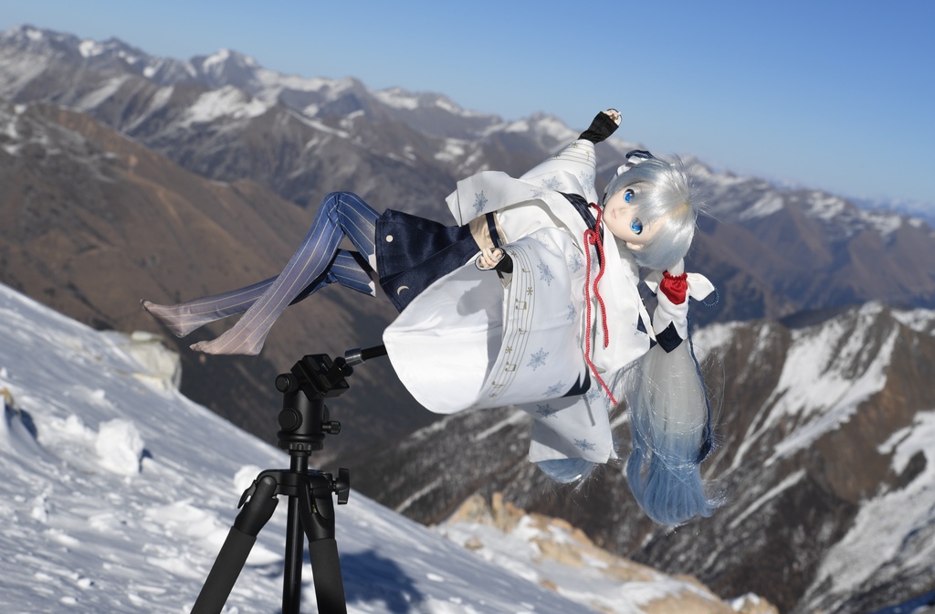 ドール通用スタンド