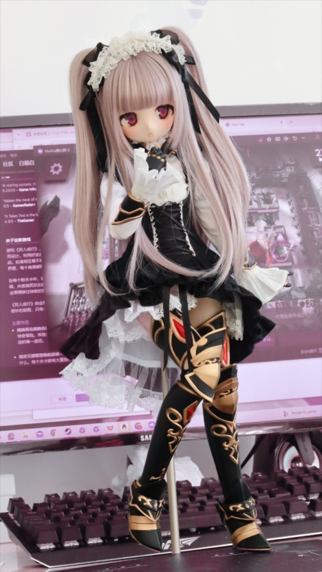 volks製DD MDD用ファンタジー系鎧(バラ)