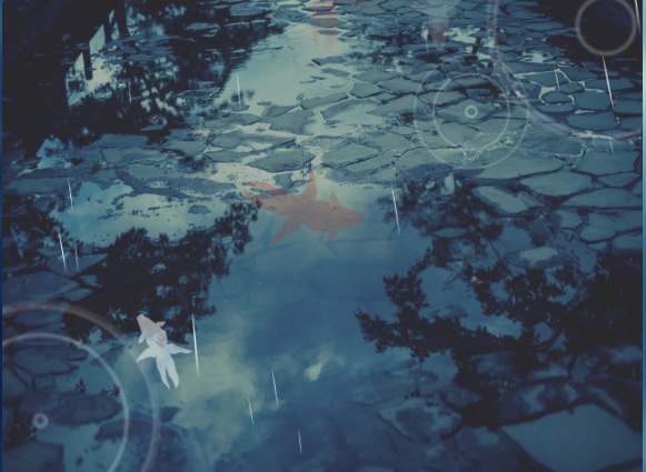 動く素材「金魚と飛行機」「波紋と雨」(無料あり)