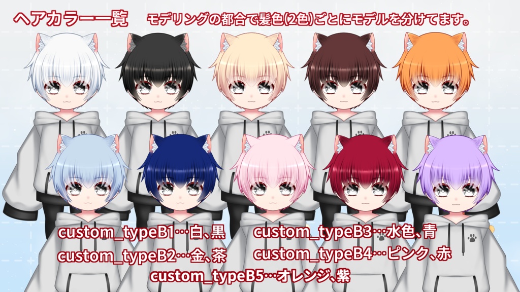 【汎用カスタムモデル】typeB/パーカー【VTS対応】