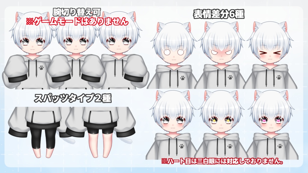 【汎用カスタムモデル】typeB/パーカー【VTS対応】