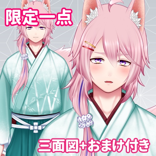 【限定1点】狐男子06【VTS対応/差分7種/三面図+おまけ付き】