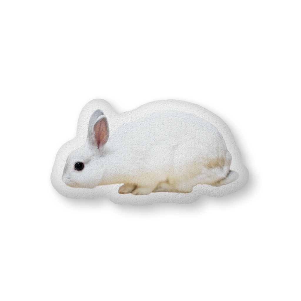 うさぎのみーちゃん ふかふかクッション
