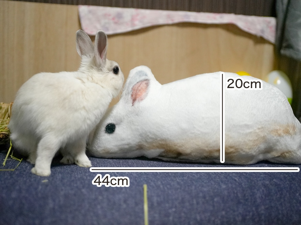 うさぎのみーちゃん ふかふかクッション