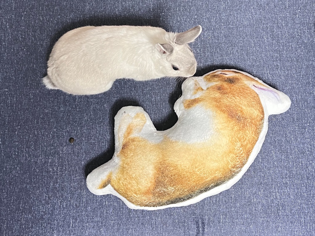 うさぎのむーくん ふかふかクッション