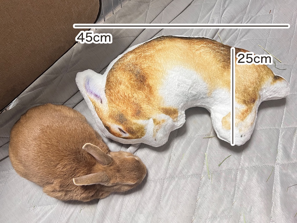 うさぎのむーくん ふかふかクッション