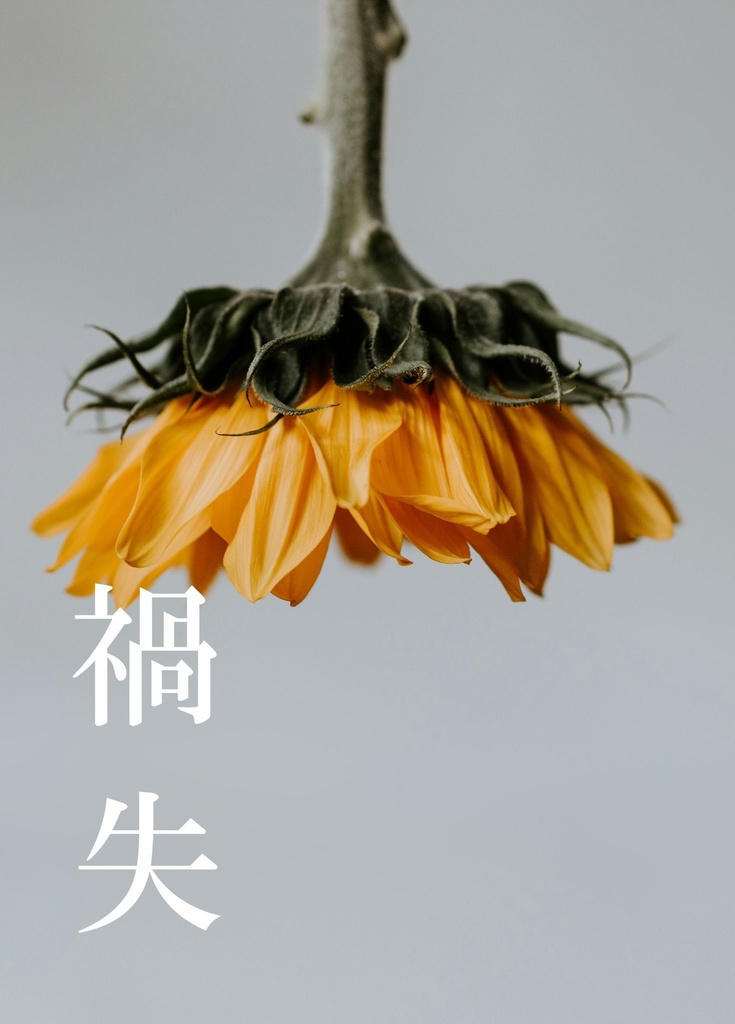 禍失
