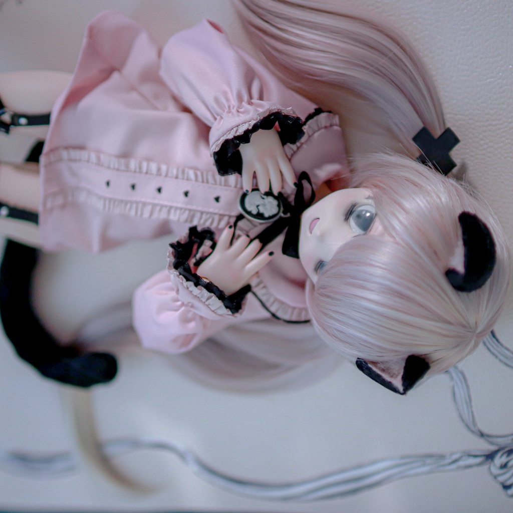 ✟量産型ʚ♡ɞカメオリボンTOPS✟
