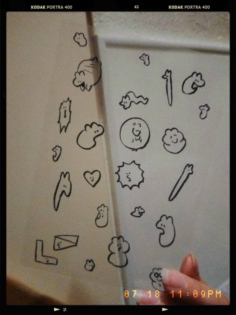 ヅォン透明ポストカードセット