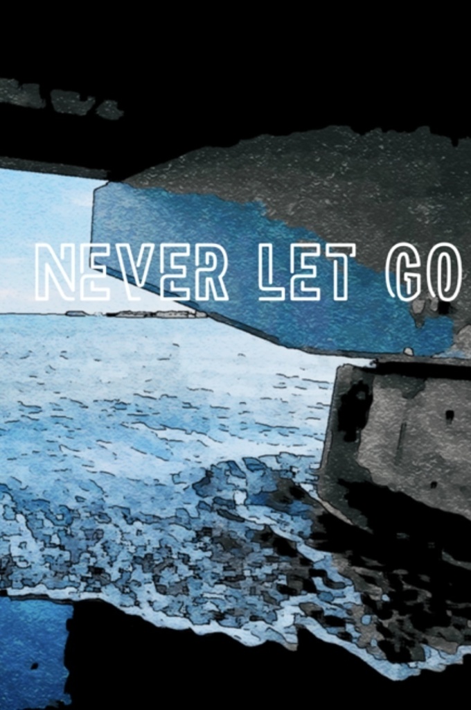 NEVER LET GO