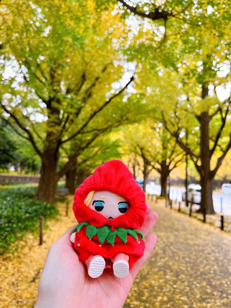 フルーツおようふく