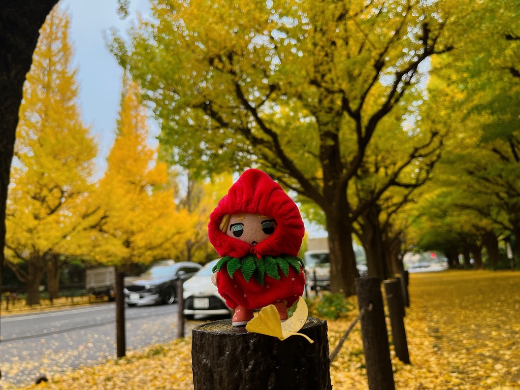 フルーツおようふく