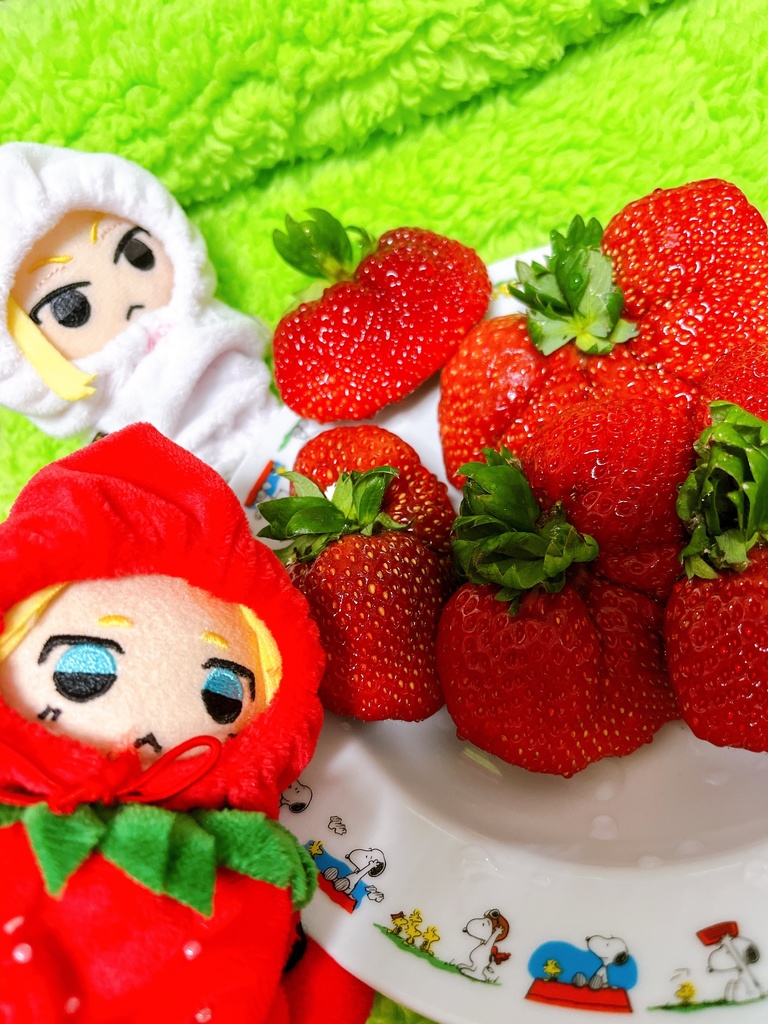 フルーツおようふく