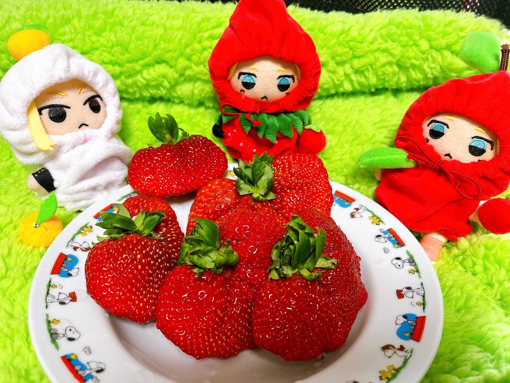 フルーツおようふく