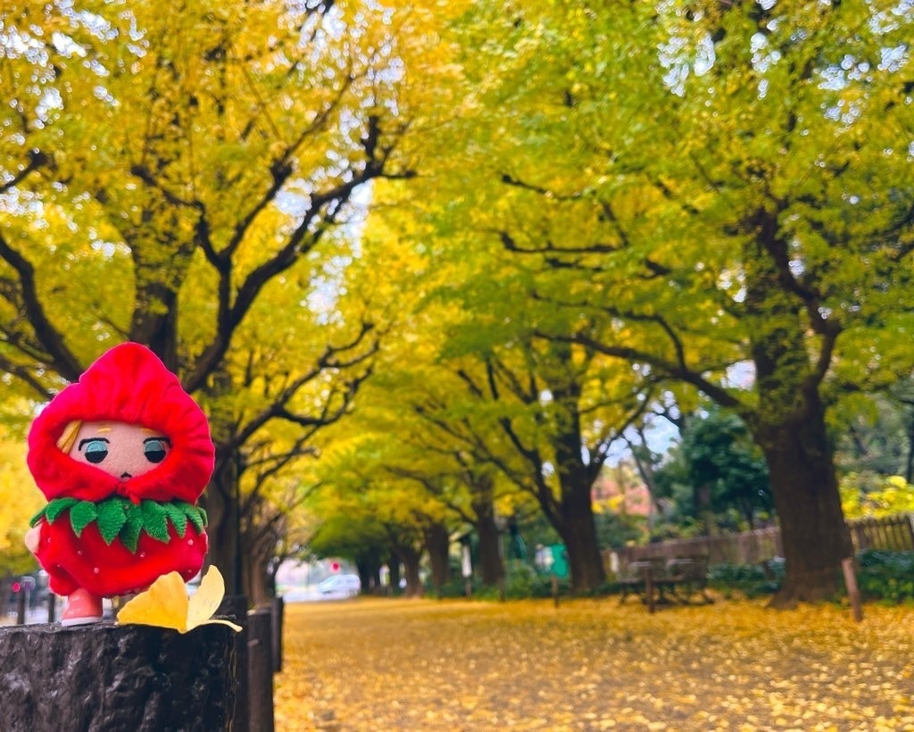 フルーツおようふく