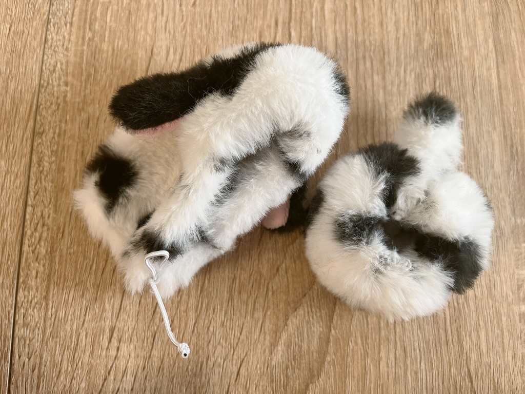 なりすまし ねこ いぬ