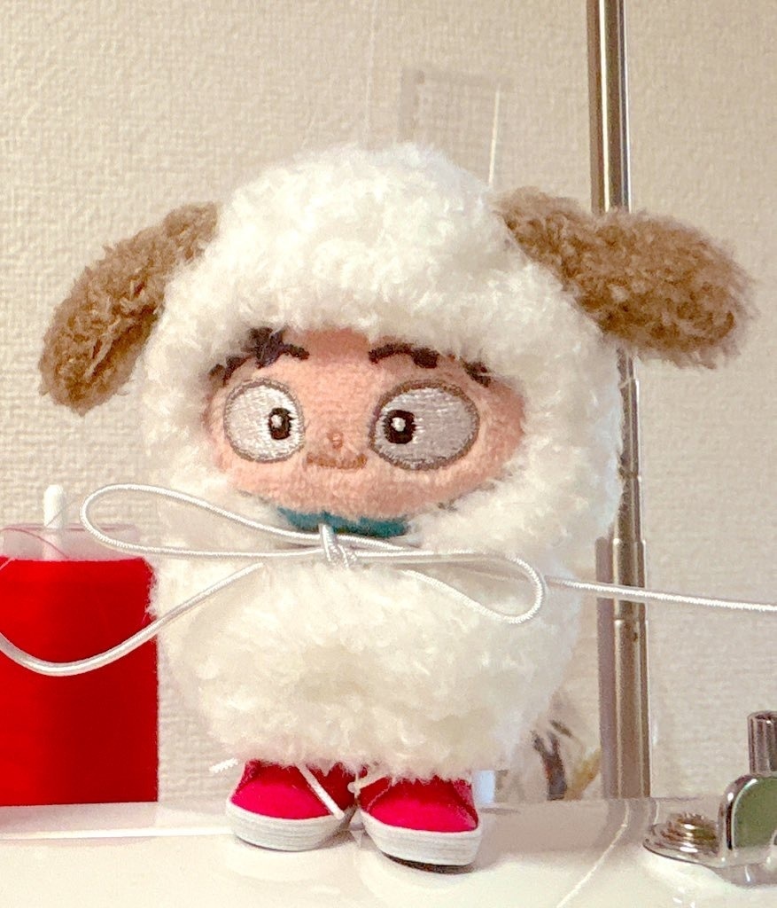 ほわぬいなりすまし 猫とワンコ