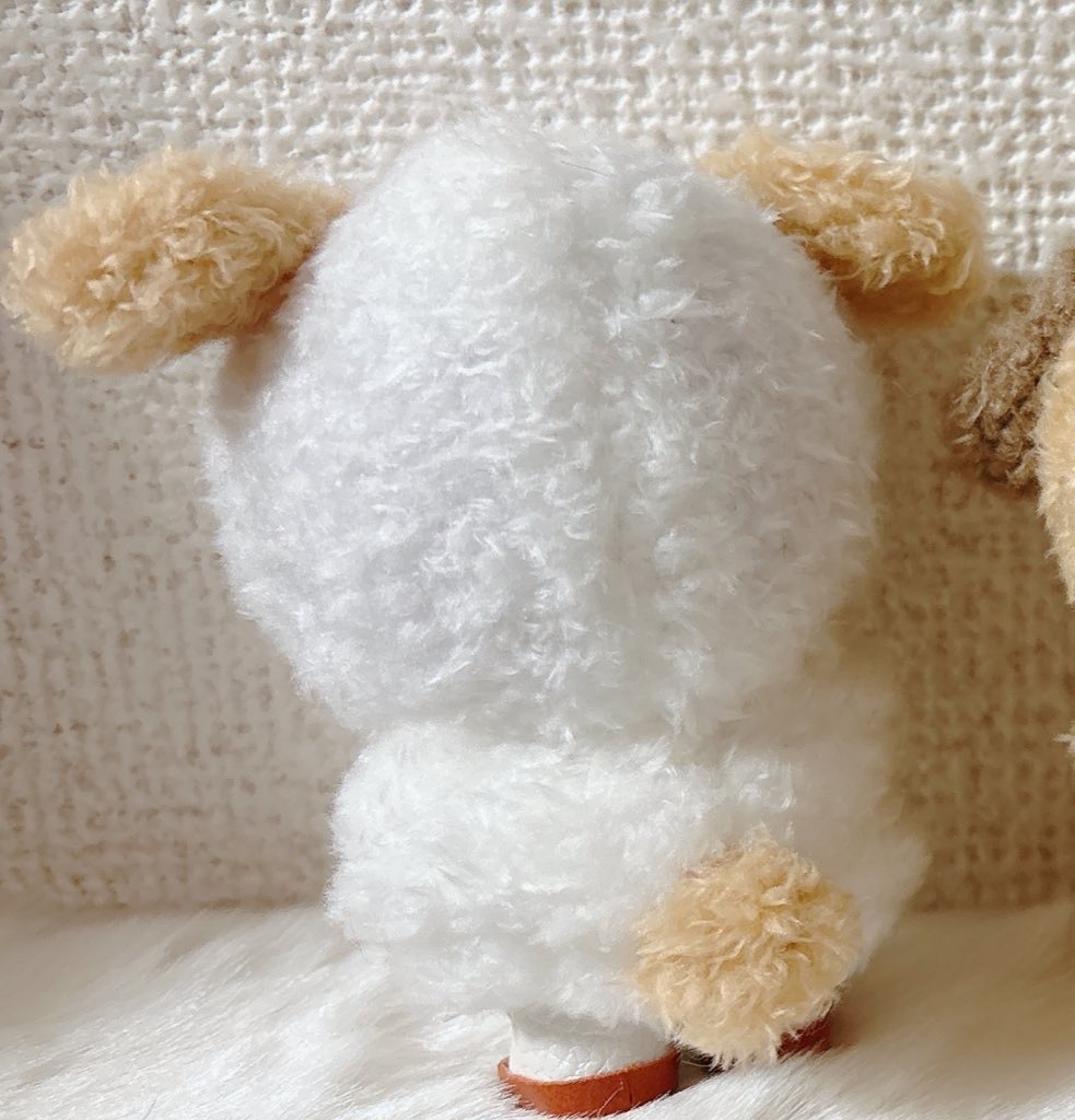 ほわぬいなりすまし 猫とワンコ