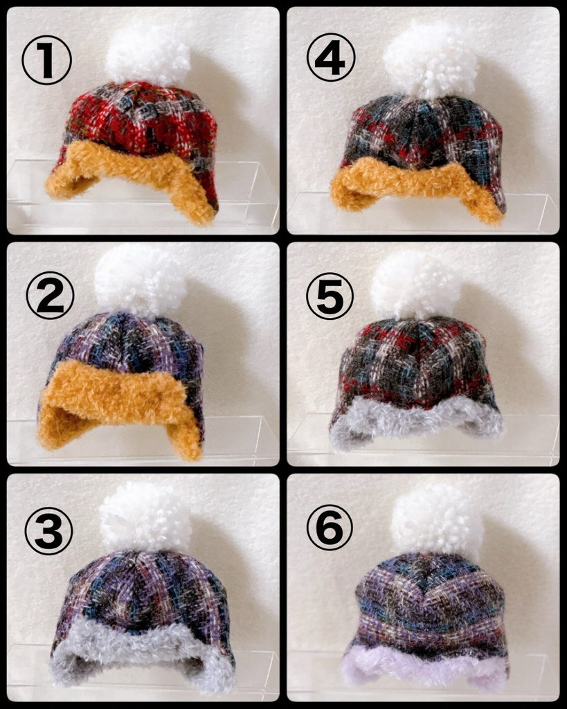 元気なウール(白ぽん)