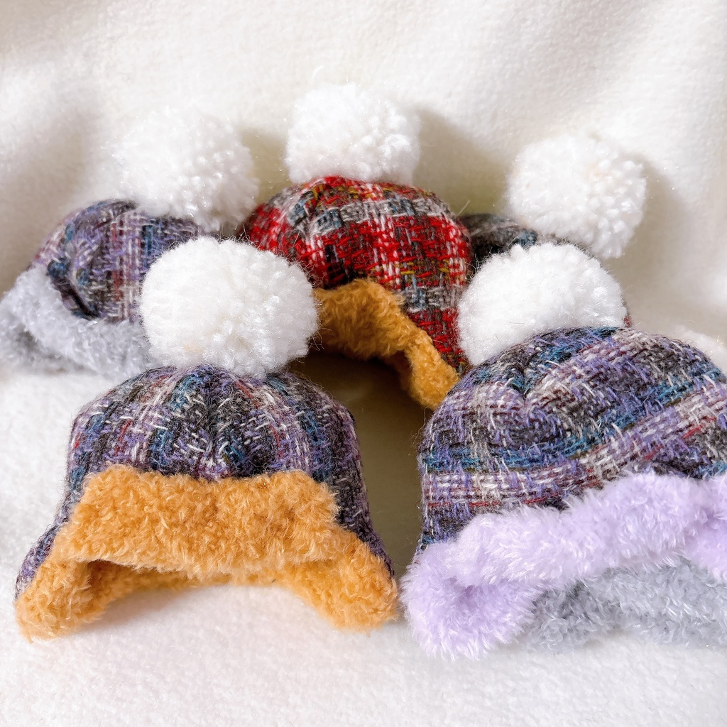 元気なウール（白ぽん）