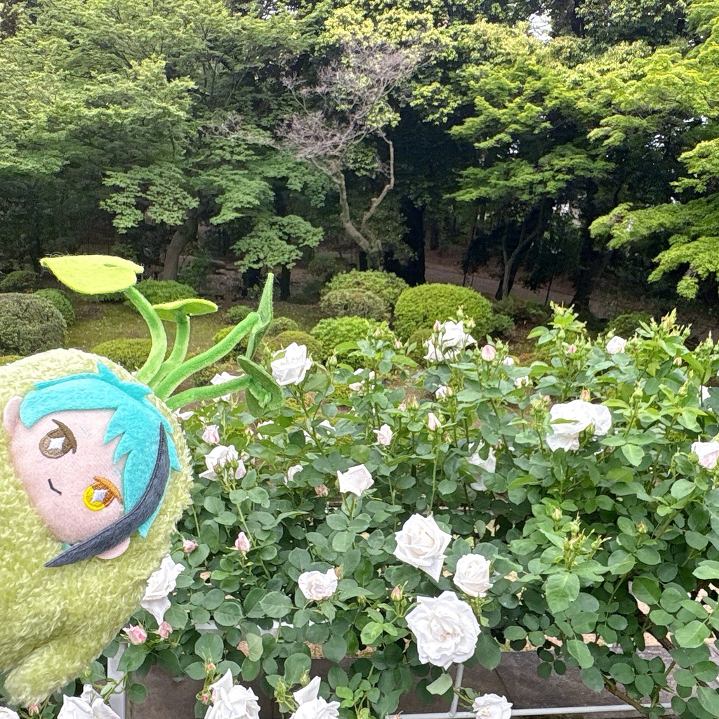 10㎝大根、わさび