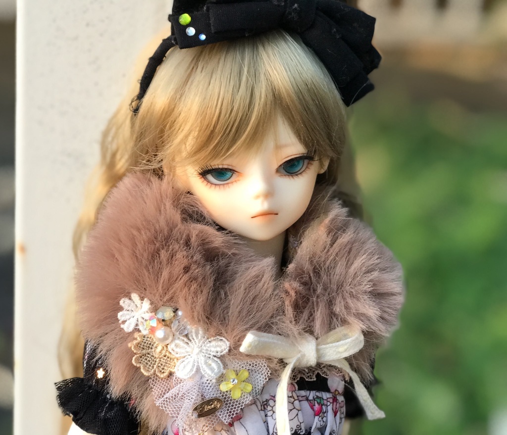 ファーティペットＢ