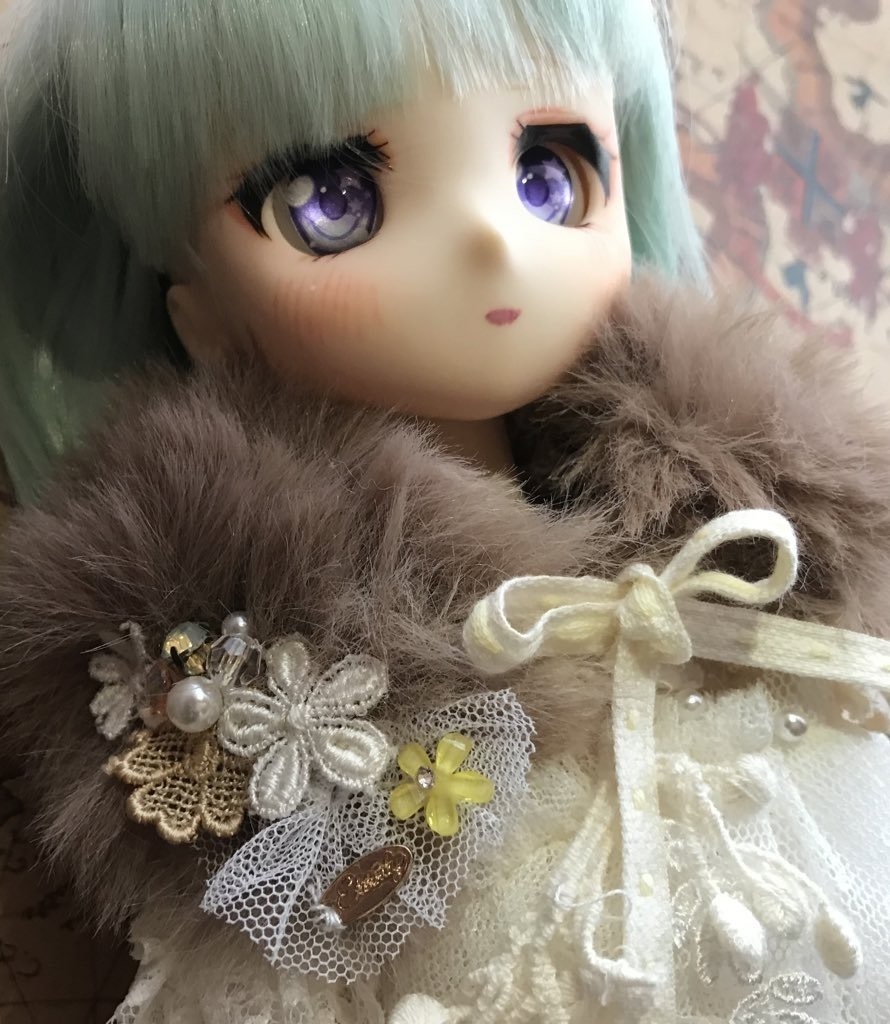 ファーティペットＢ