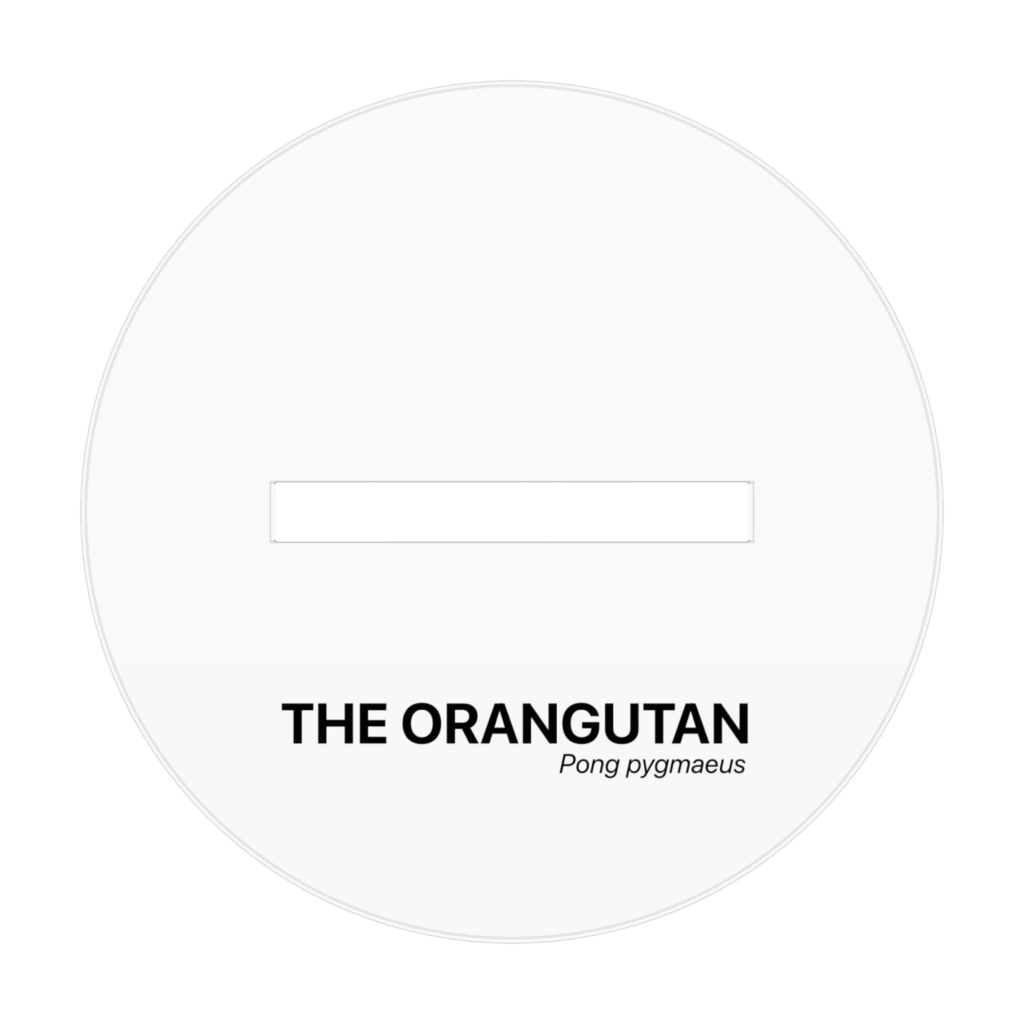 ボルネオオランウータン全身骨格 アクリルフィギュア