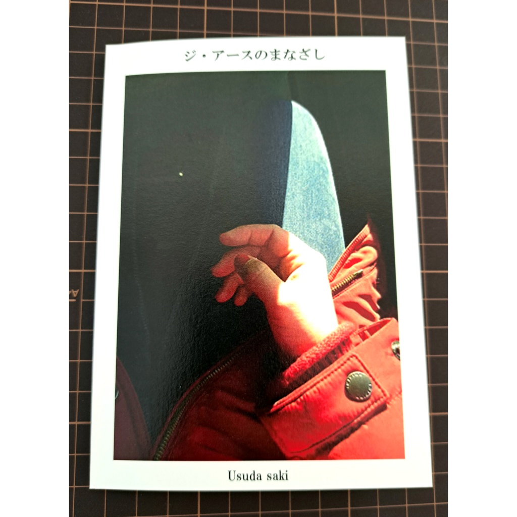 写真集「ジ・アースのまなざし」